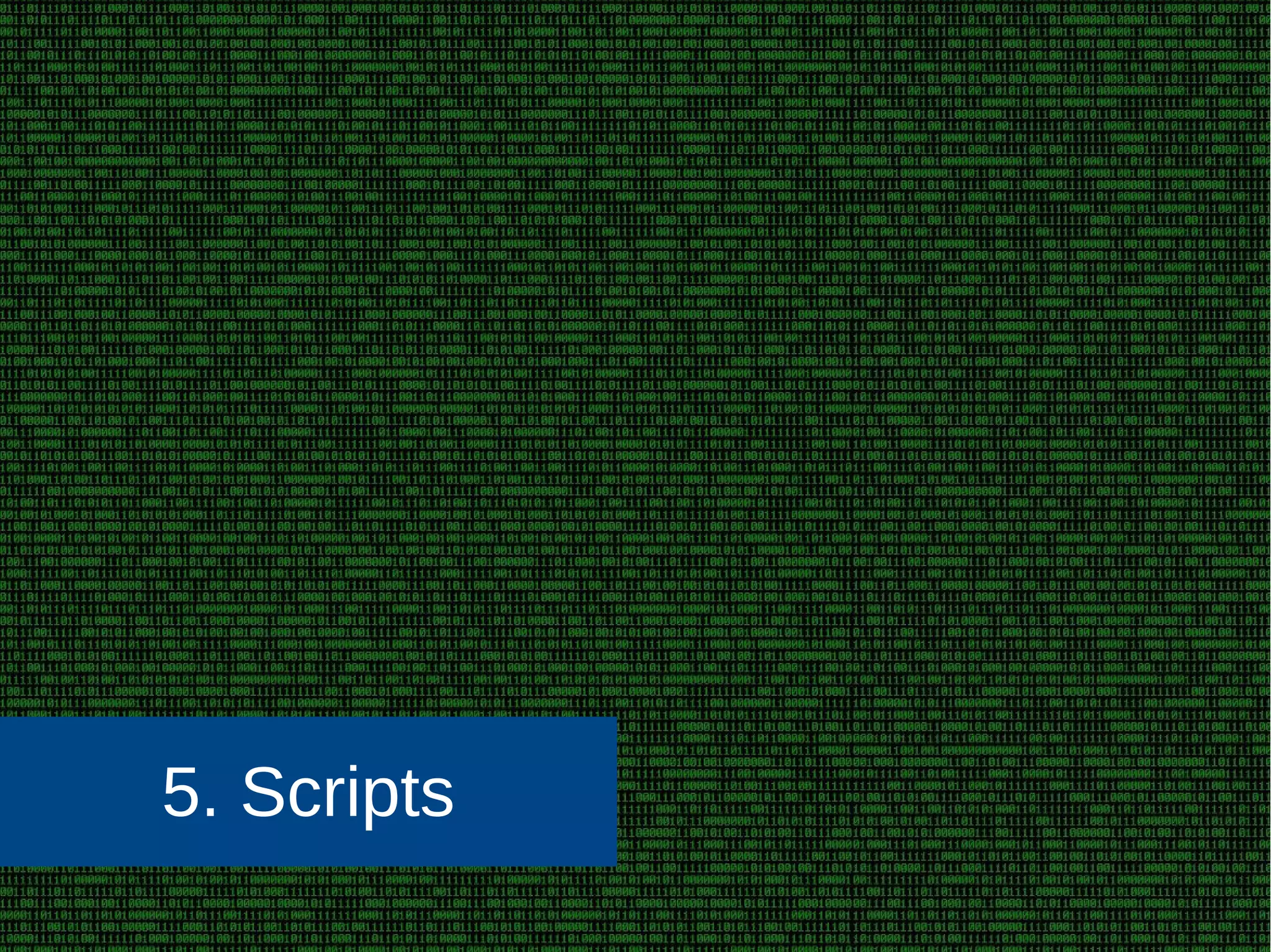 5. Scripts
 