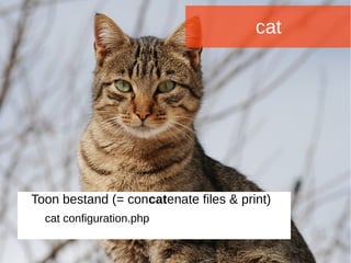 Joomladagen 2015Joomladagen 2015
cat
Toon bestand (= concatenate files & print)
cat configuration.php
 