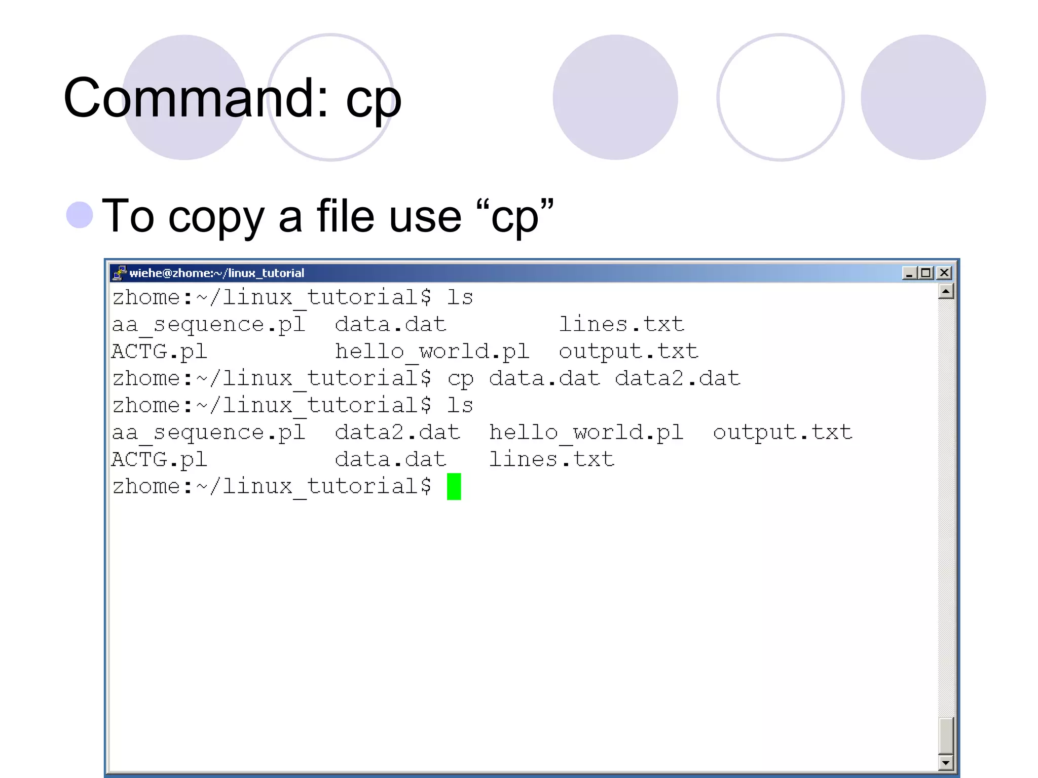 Command: cp
To copy a file use “cp”
 