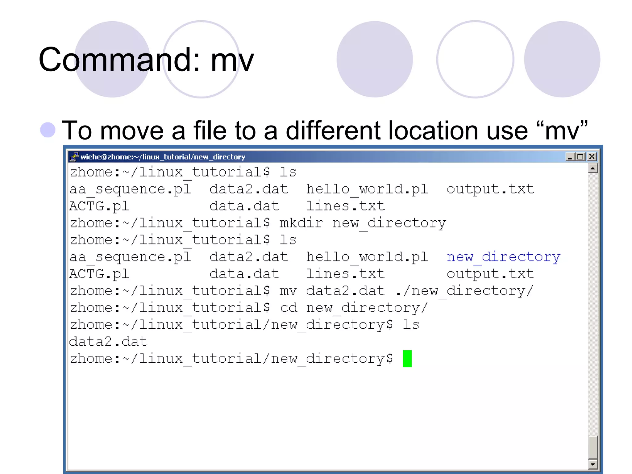 Command: mv
 To move a file to a different location use “mv”
 