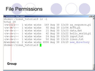 File Permissions
Group
 