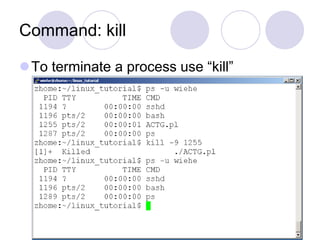 Command: kill
To terminate a process use “kill”
 