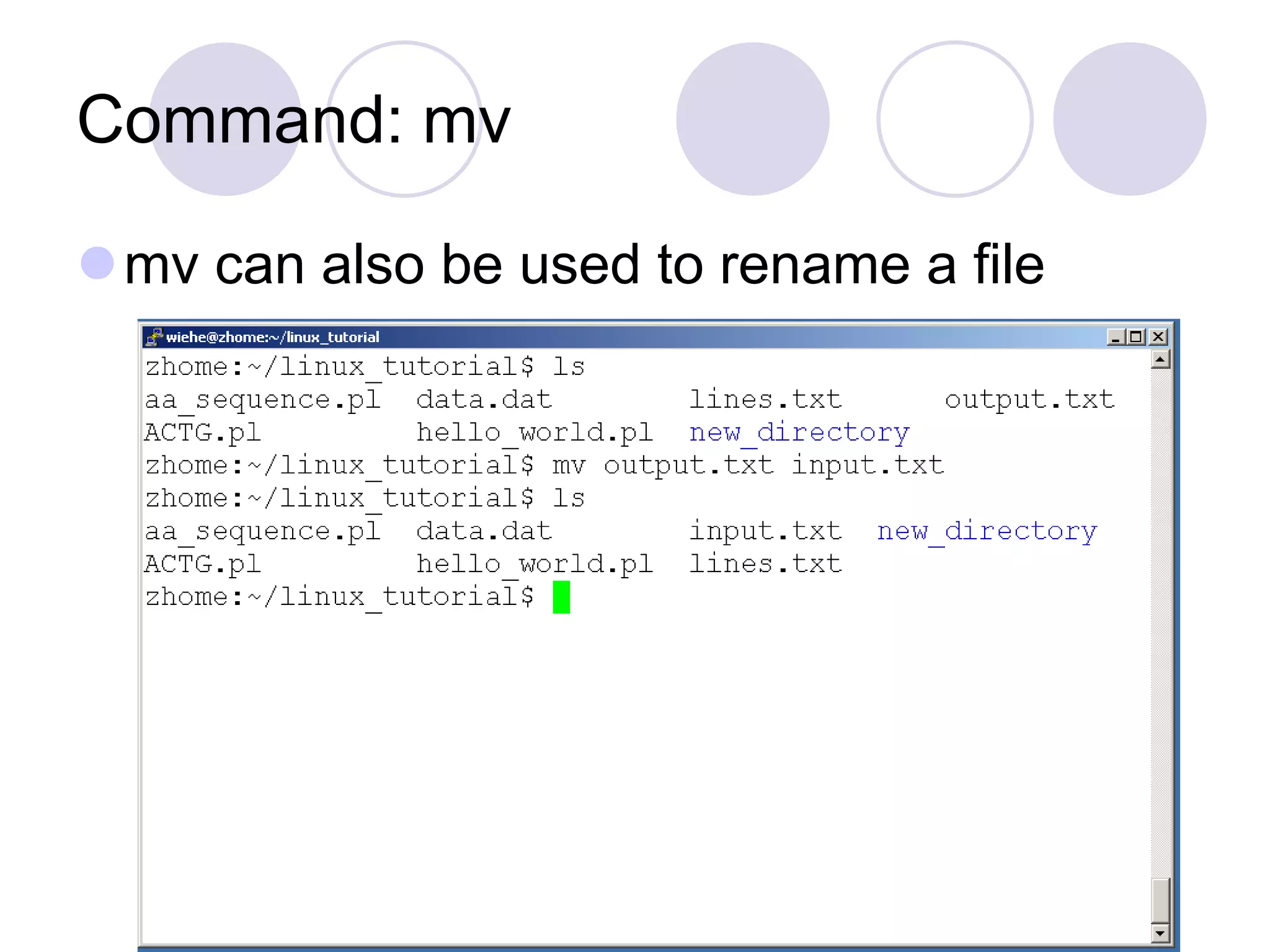 Command: mv mv can also be used to rename a file 