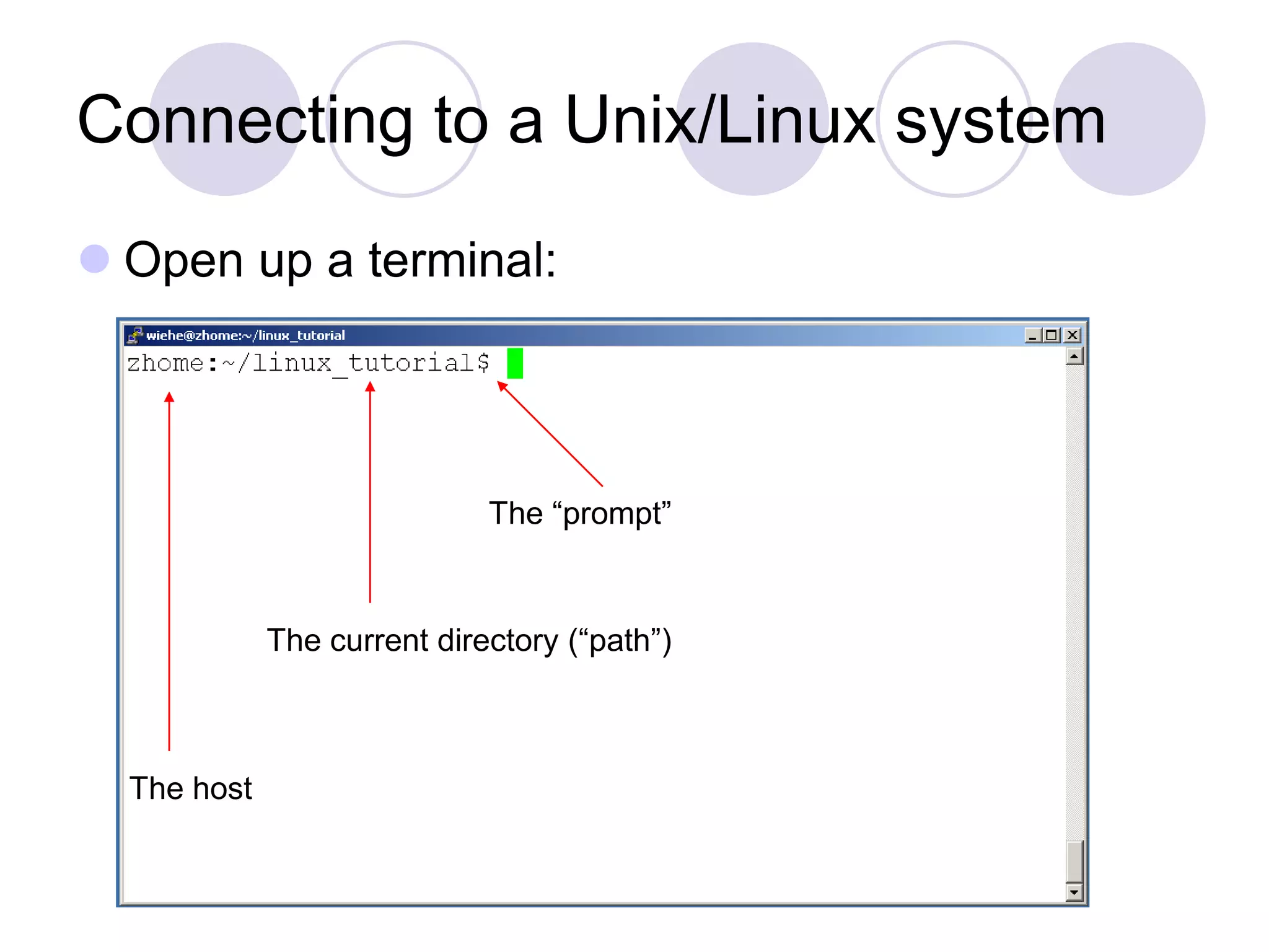 Connecting to a Unix/Linux system  Open up a terminal: The “prompt” The current directory (“path”) The host 