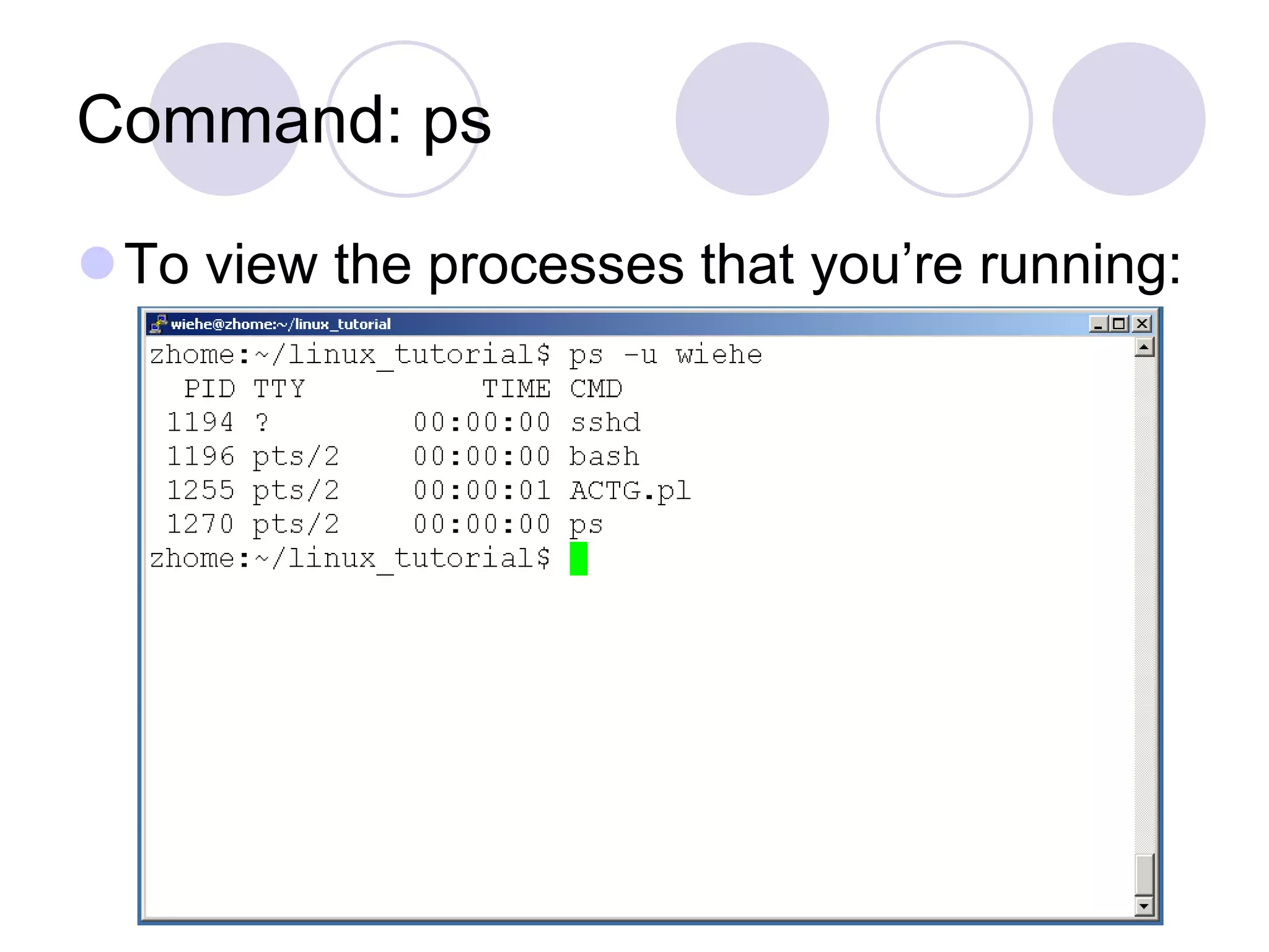 Command: ps To view the processes that you’re running: 