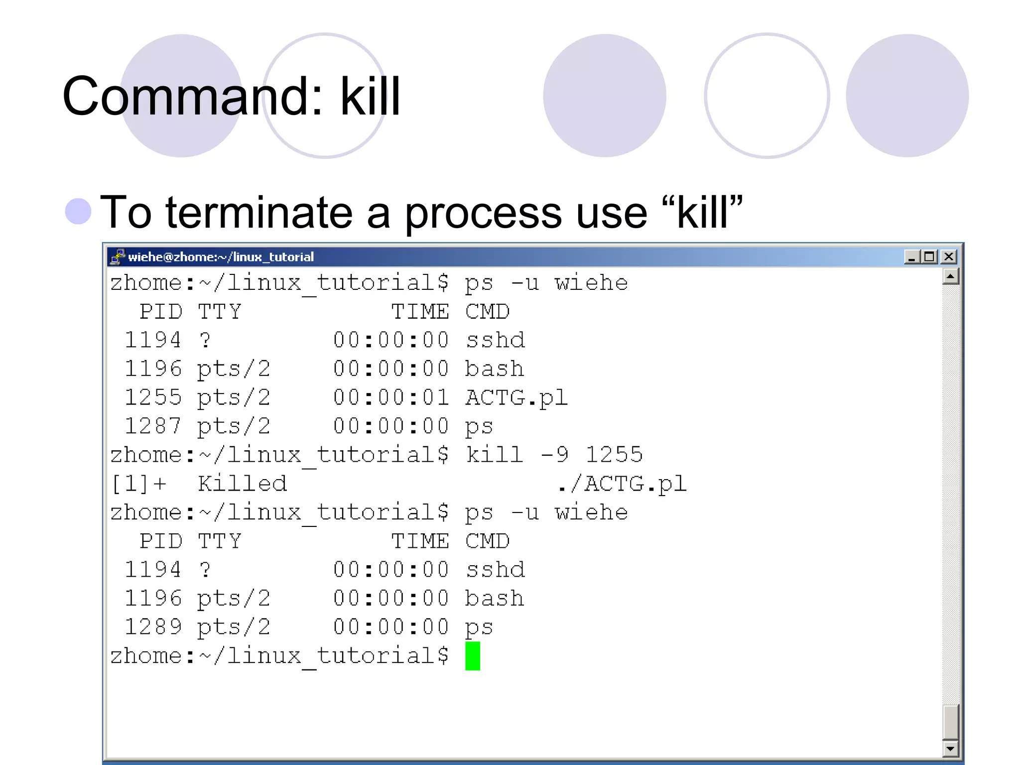 Command: kill To terminate a process use “kill” 
