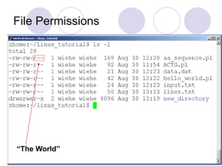 File Permissions
“The World”
 