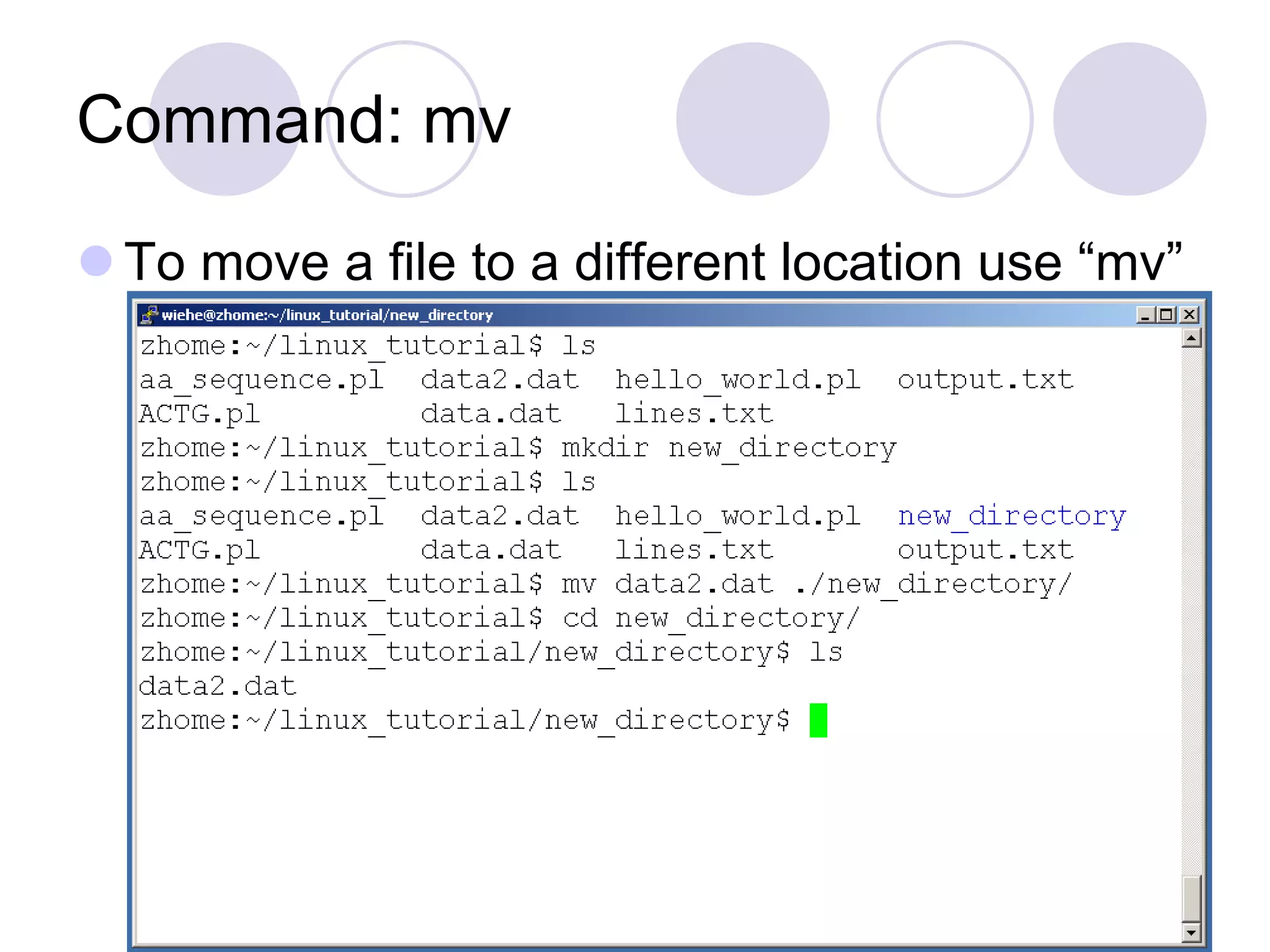 Command: mv
 To move a file to a different location use “mv”
 