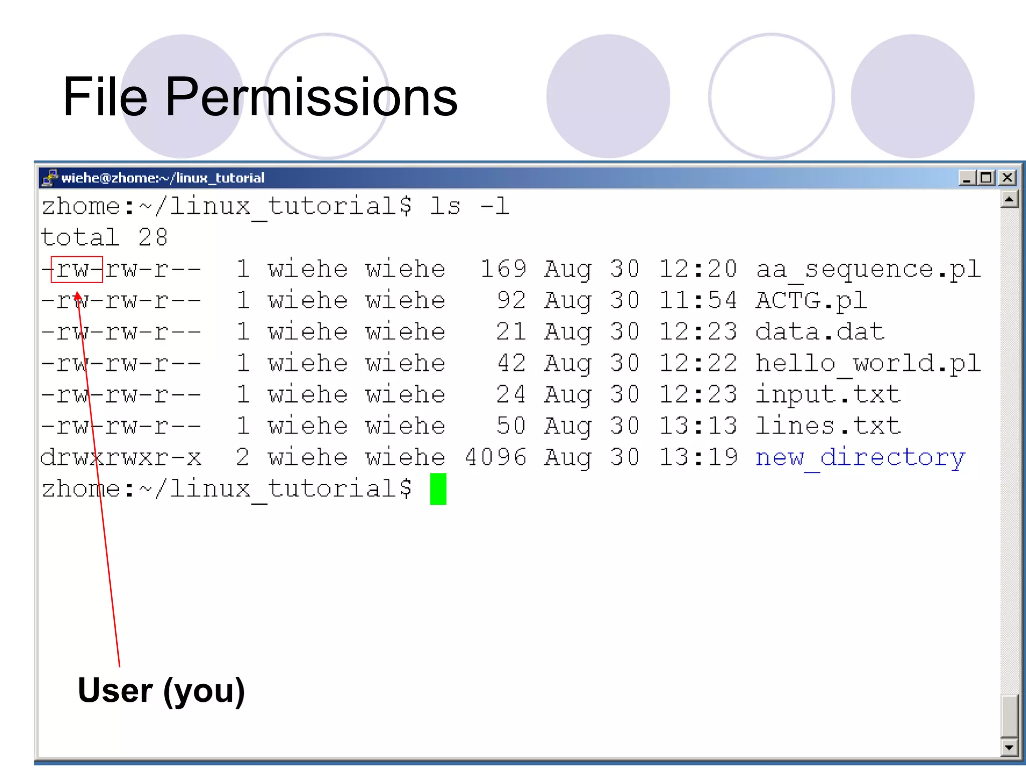 File Permissions
User (you)
 