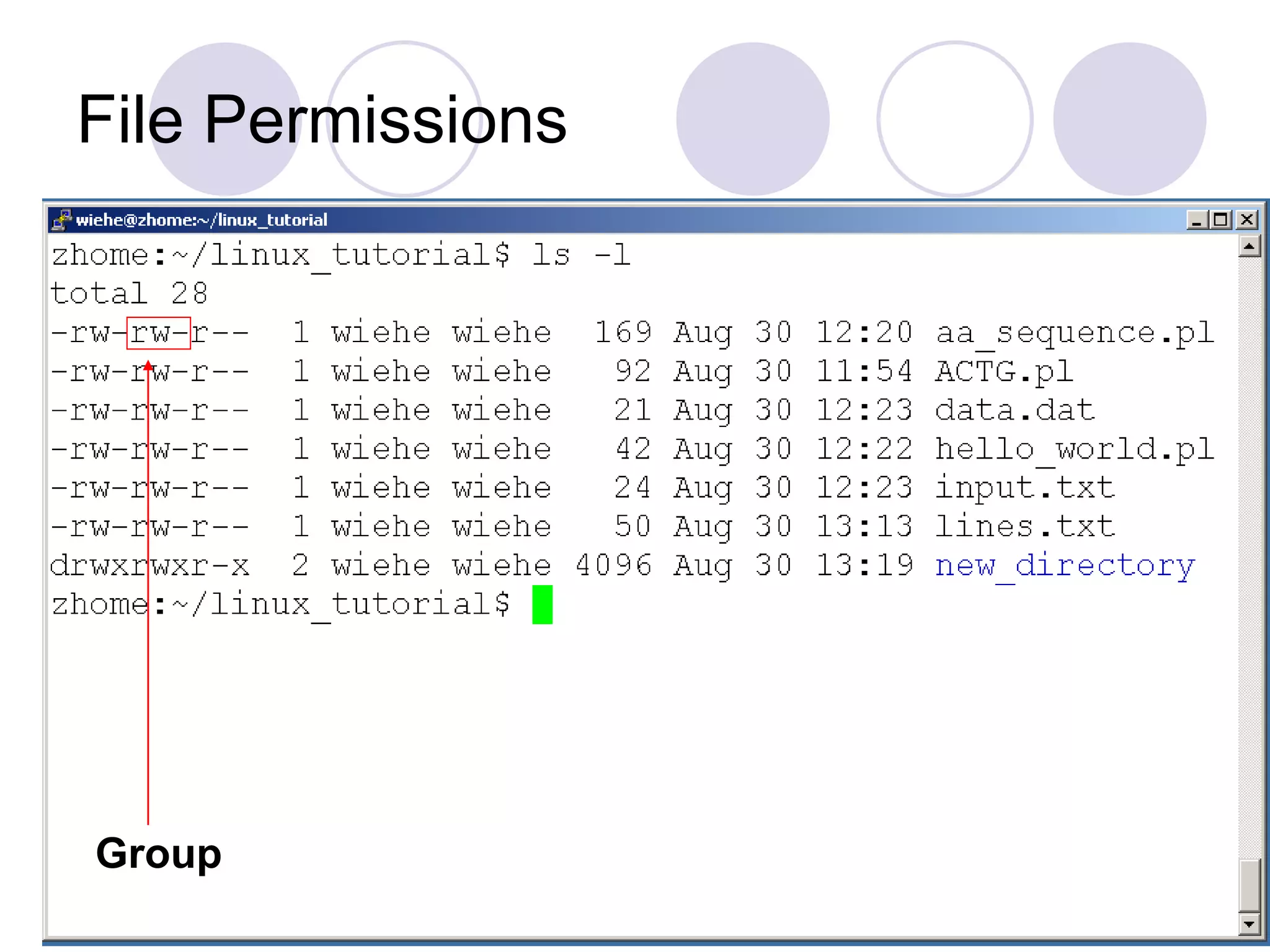 File Permissions
Group
 
