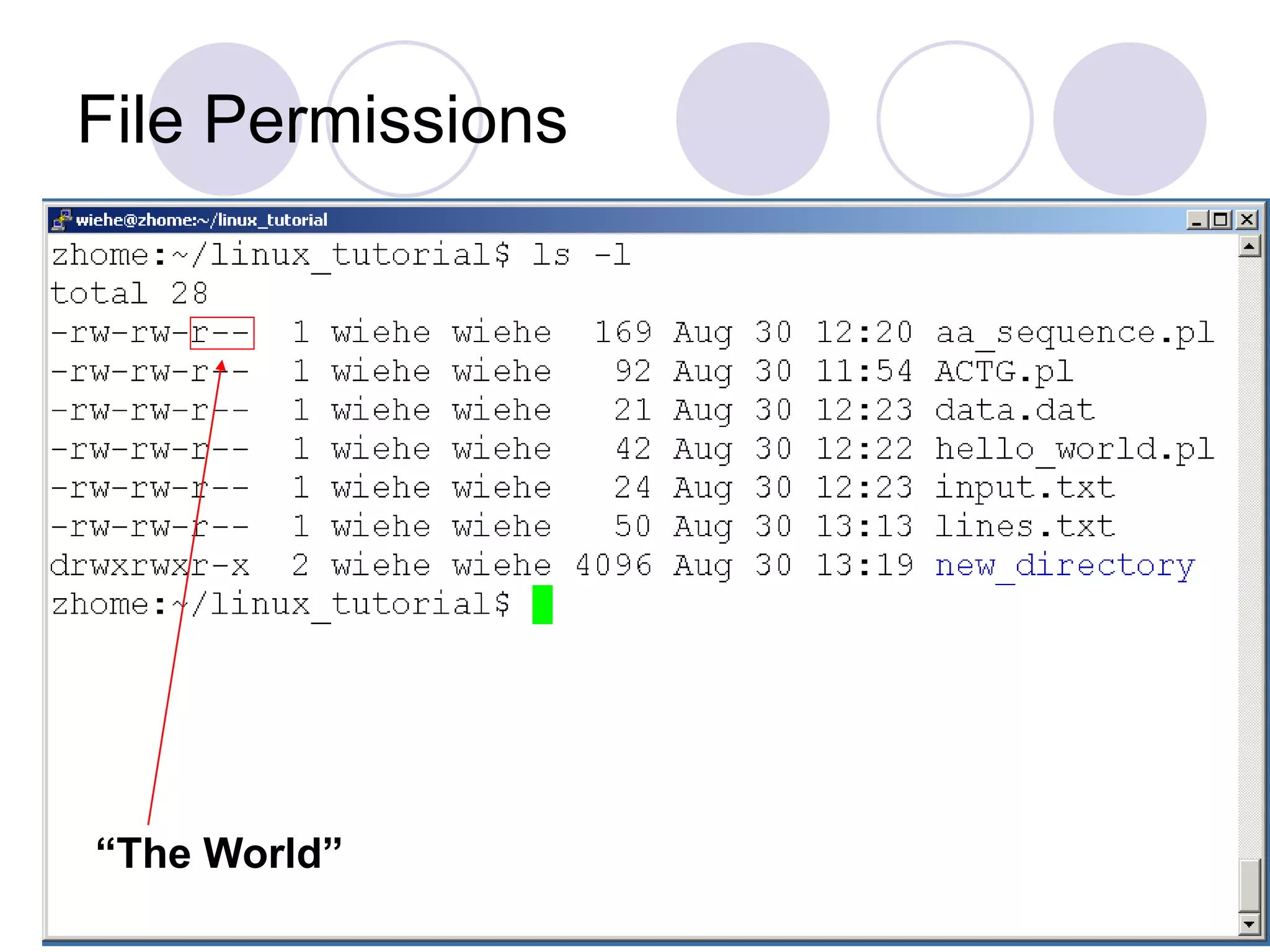 File Permissions
“The World”
 