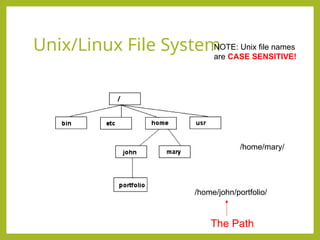 Comprehensive Linux Commands and Administration Basics Tutorial | PPT