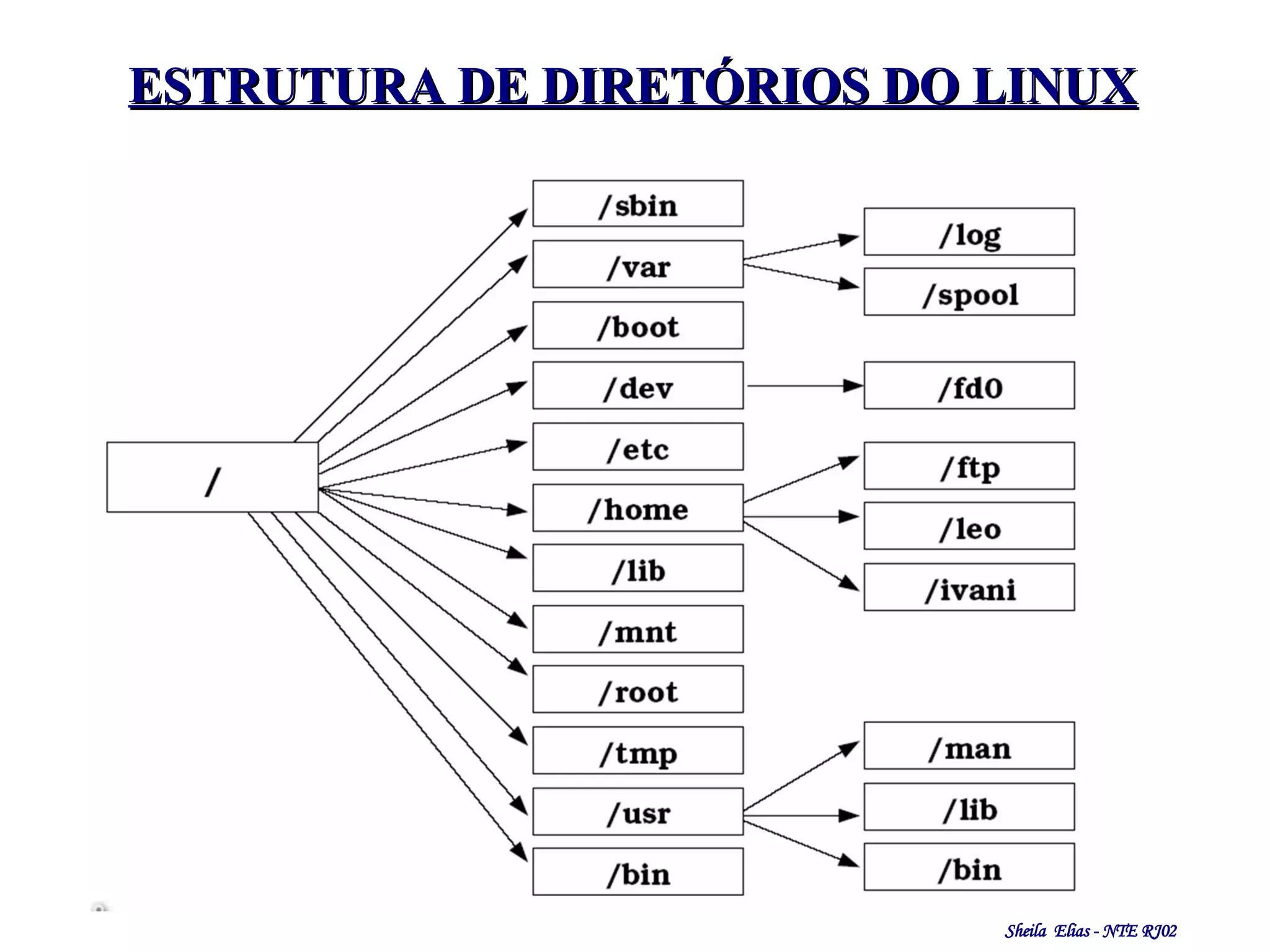 ESTRUTURA DE DIRETÓRIOS DO LINUX 
