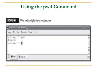Using the pwd Command
 
