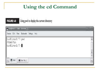 Using the cd Command
 