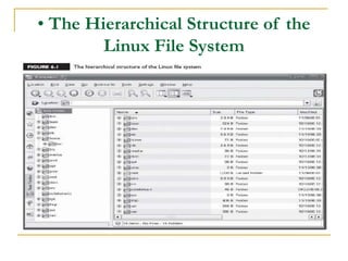 • The Hierarchical Structure of the
Linux File System
 