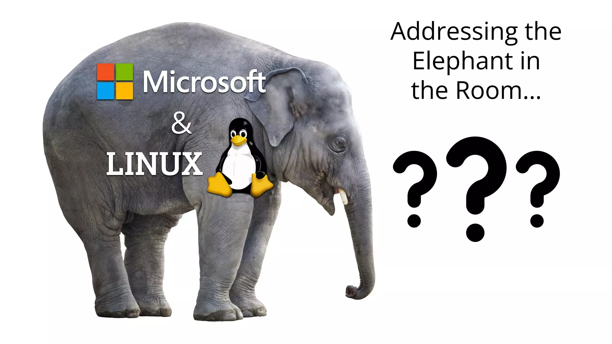 Delphi 11
Copyright © 2022 by Embarcadero, an Idera company
&
LINUX
Addressing the
Elephant in
the Room…
 