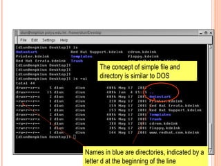 Names in blue are directories, indicated by a
letter d at the beginning of the line
The concept of simple file and
directory is similar to DOS
 