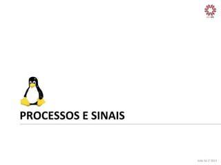 PROCESSOS	
  E	
  SINAIS	
  

João	
  Sá	
  //	
  2013	
  

 