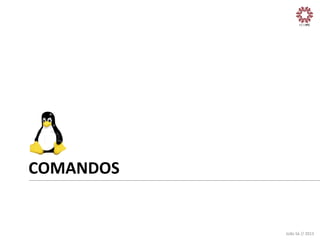 COMANDOS	
  

João	
  Sá	
  //	
  2013	
  

 