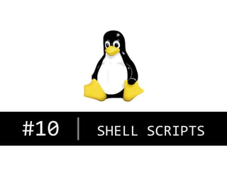 #10	
  |	
  SHELL	
  SCRIPTS
	
  

 