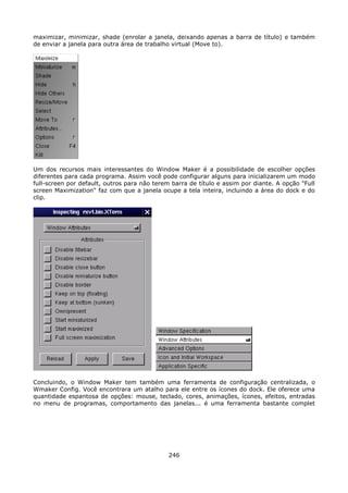 maximizar, minimizar, shade (enrolar a janela, deixando apenas a barra de título) e também
de enviar a janela para outra área de trabalho virtual (Move to).




Um dos recursos mais interessantes do Window Maker é a possibilidade de escolher opções
diferentes para cada programa. Assim você pode configurar alguns para inicializarem um modo
full-screen por default, outros para não terem barra de título e assim por diante. A opção "Full
screen Maximization" faz com que a janela ocupe a tela inteira, incluindo a área do dock e do
clip.




Concluindo, o Window Maker tem também uma ferramenta de configuração centralizada, o
Wmaker Config. Você encontrara um atalho para ele entre os ícones do dock. Ele oferece uma
quantidade espantosa de opções: mouse, teclado, cores, animações, ícones, efeitos, entradas
no menu de programas, comportamento das janelas... é uma ferramenta bastante complet




                                              246
 