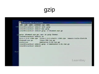 gzip 