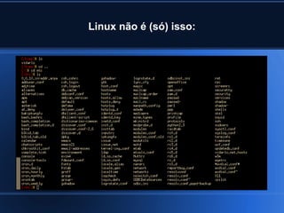 Linux não é (só) isso:
 