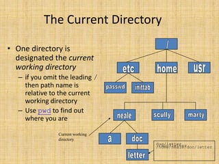 Linux.ppt | PPTX