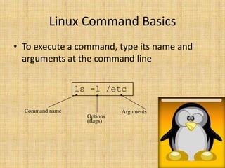 Linux Command Basics<br />To execute a command, type its name and arguments at the command line<br />ls -l /etc<br />Comma...