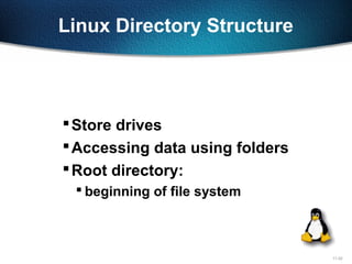 11-22
Linux Directory Structure
Store drives
Accessing data using folders
Root directory:
 beginning of file system
 
