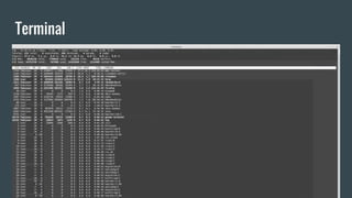 Terminal
 