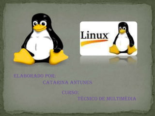 Elaborado Por:
Catarina Antunes
Curso:
Técnico de Multimédia
 