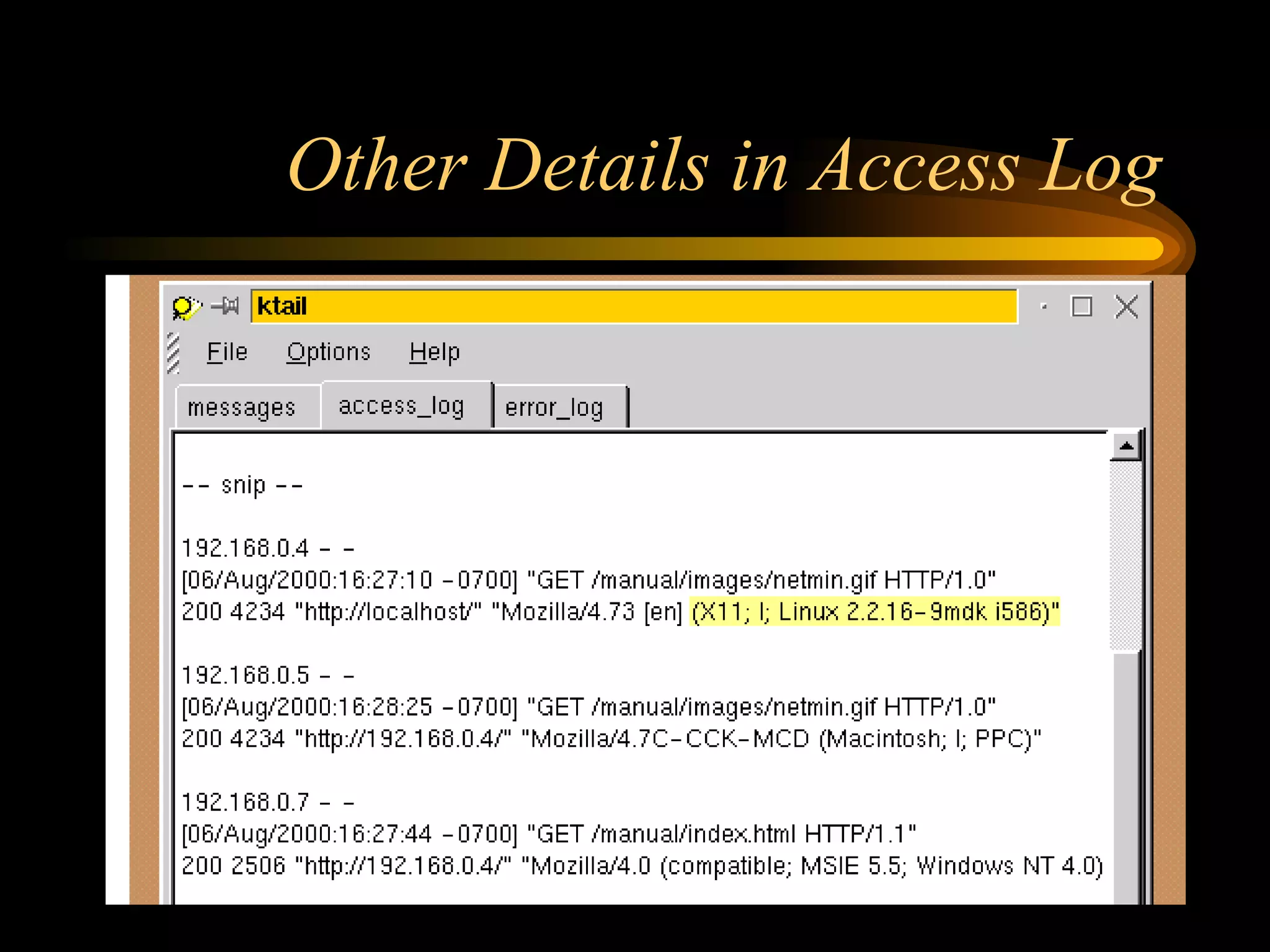 Other Details in Access Log 