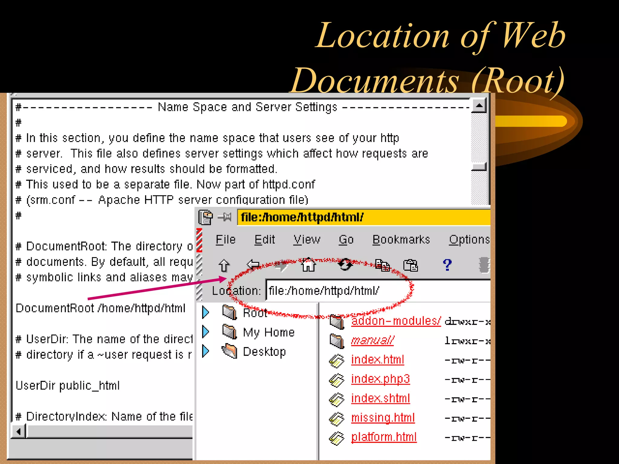 Location of Web Documents (Root) 