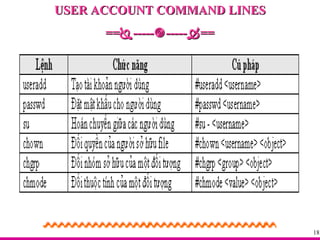 USER ACCOUNT COMMAND LINES ==  -----  -----  == 