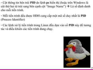 Cột thông tin bên trái  PID  do lệnh  ps  hiển thị (hoặc trên Windows là cột thứ hai từ trái sang bên cạnh cột “Image Name”)    Là số định danh cho mỗi tiến trình. Mỗi tiến trình đều được HĐH cung cấp một mã số duy nhất là  PID  (Process Identifier) Các lệnh xử lý tiến trình trong Linux đều dựa vào số  PID  này để tương tác và điều khiển các tiến trình đang chạy. 