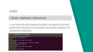 Linux 101 | PPTX