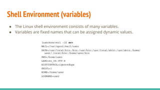Shell Environment (variables)
● The Linux shell environment consists of many variables.
● Variables are fixed names that can be assigned dynamic values.
 