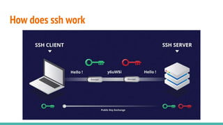 How does ssh work
 