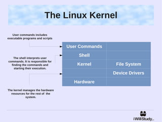The Linux Kernel
   User commands includes
executable programs and scripts


                                  User Commands

    The shell interprets user
                                      Shell
commands. It is responsible for
  finding the commands and           Kernel        File System
    starting their execution.
                                                  Device Drivers
                                    Hardware
The kernel manages the hardware
  resources for the rest of the
            system.
 