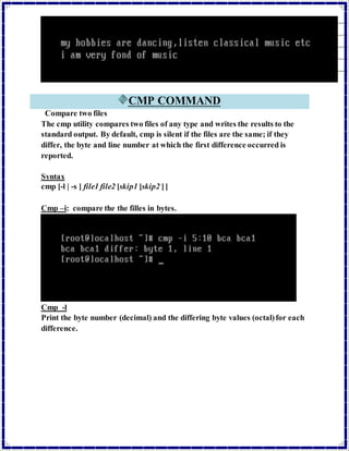 commands that's are commonly used in linux | DOCX