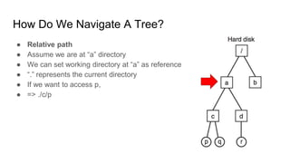 Linux and windows file system | PPTX