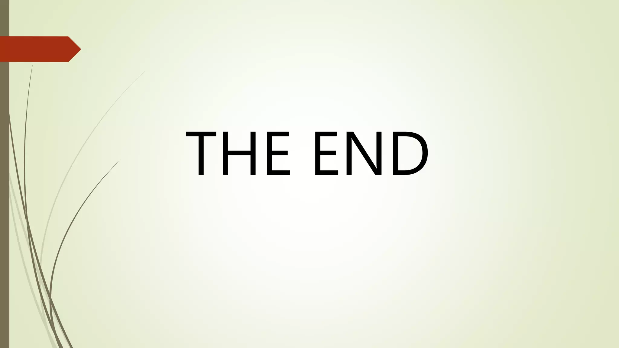 THE END
 