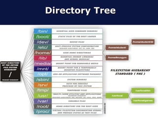 Directory Tree
 