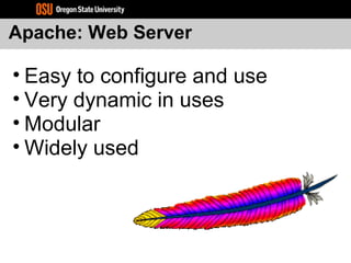 Apache: Web Server
• Easy to configure and use
• Very dynamic in uses
• Modular
• Widely used
 