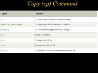 Copy (cp) Command
 