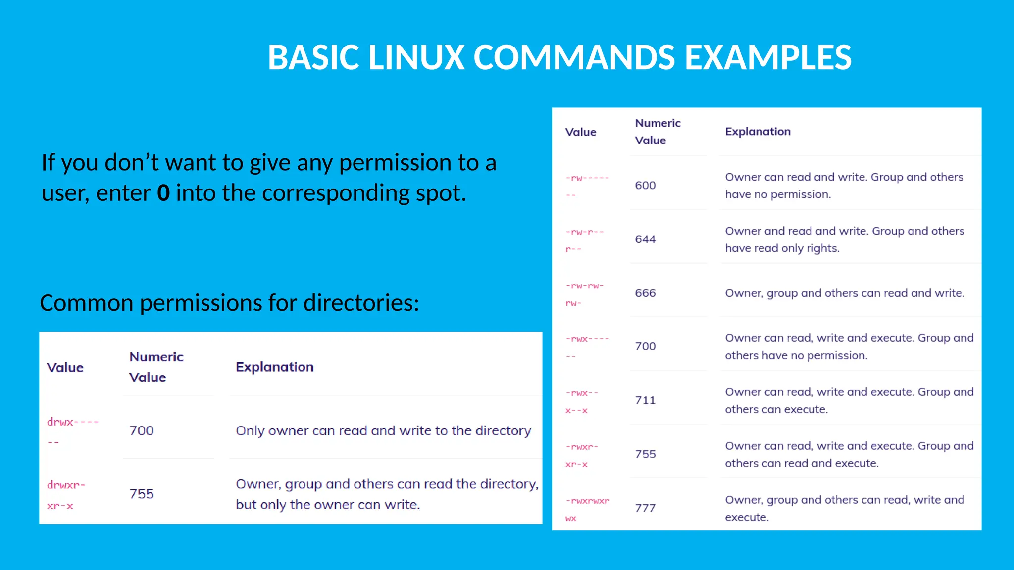BASIC LINUX COMMANDS EXAMPLES If you don’t want to give any permission to a user, enter 0 into the corresponding spot. Common permissions for directories: 