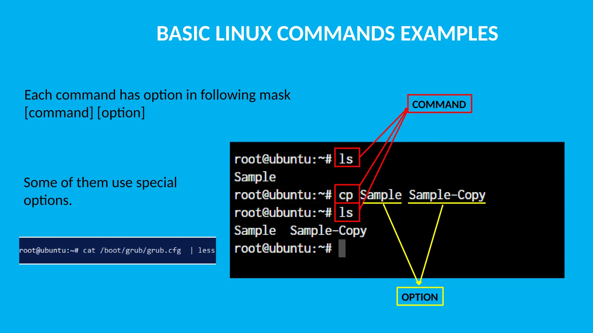 BASIC LINUX COMMANDS EXAMPLES Each command has option in following mask [command] [option] COMMAND OPTION Some of them use special options. 