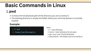 Comprehensive Guide to Basic Linux Commands for Beginners | PDF